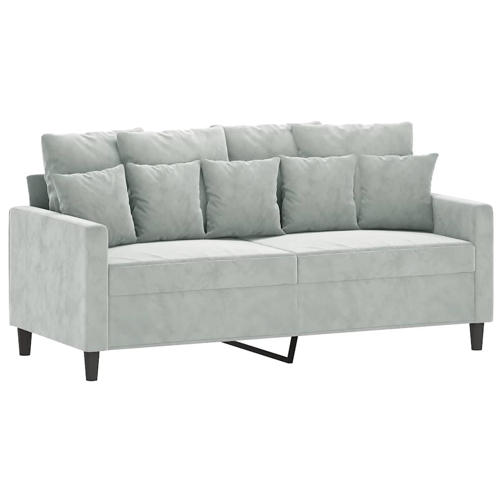 Light Gray Velvet 2-Seater Sofa G582