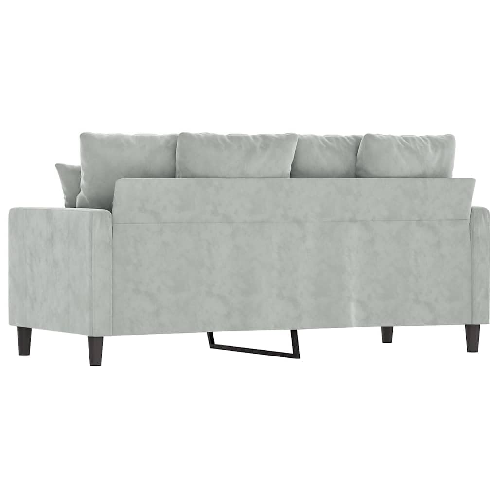 Light Gray Velvet 2-Seater Sofa G582
