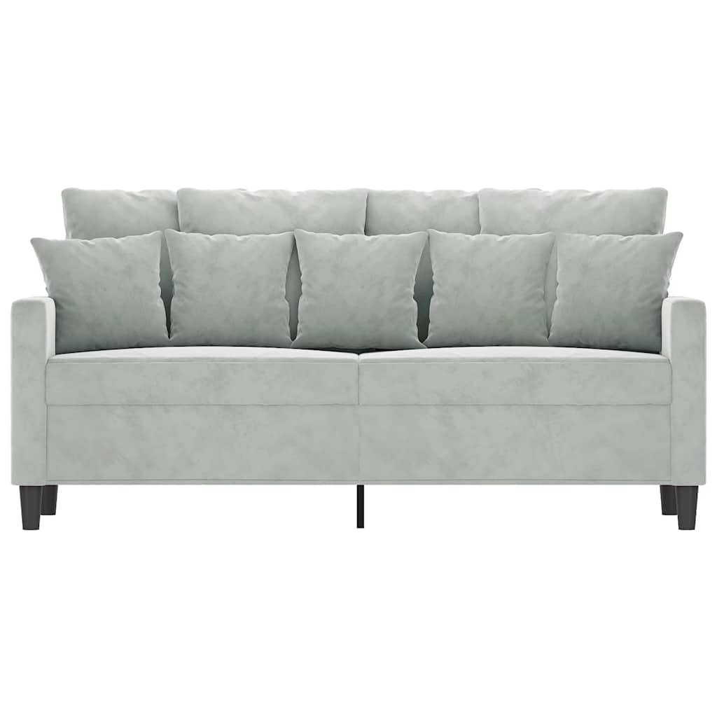 Light Gray Velvet 2-Seater Sofa G582