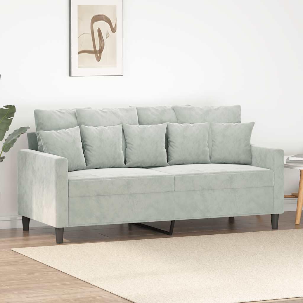 Light Gray Velvet 2-Seater Sofa G582