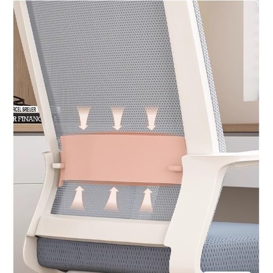 Ergonomic Middle Back Breathable Mesh Office Chair P56202