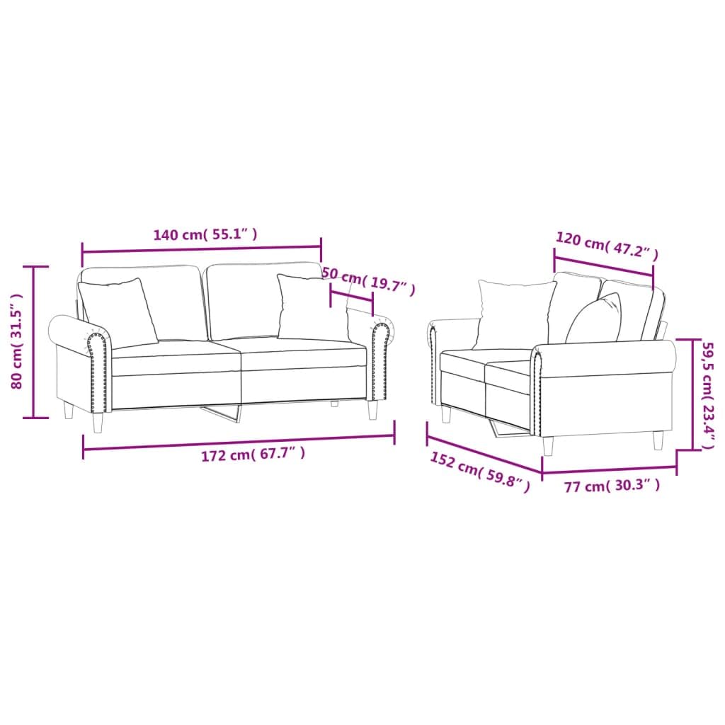 Light Gray Velvet 2 Piece Sofa Set with Pillows S274