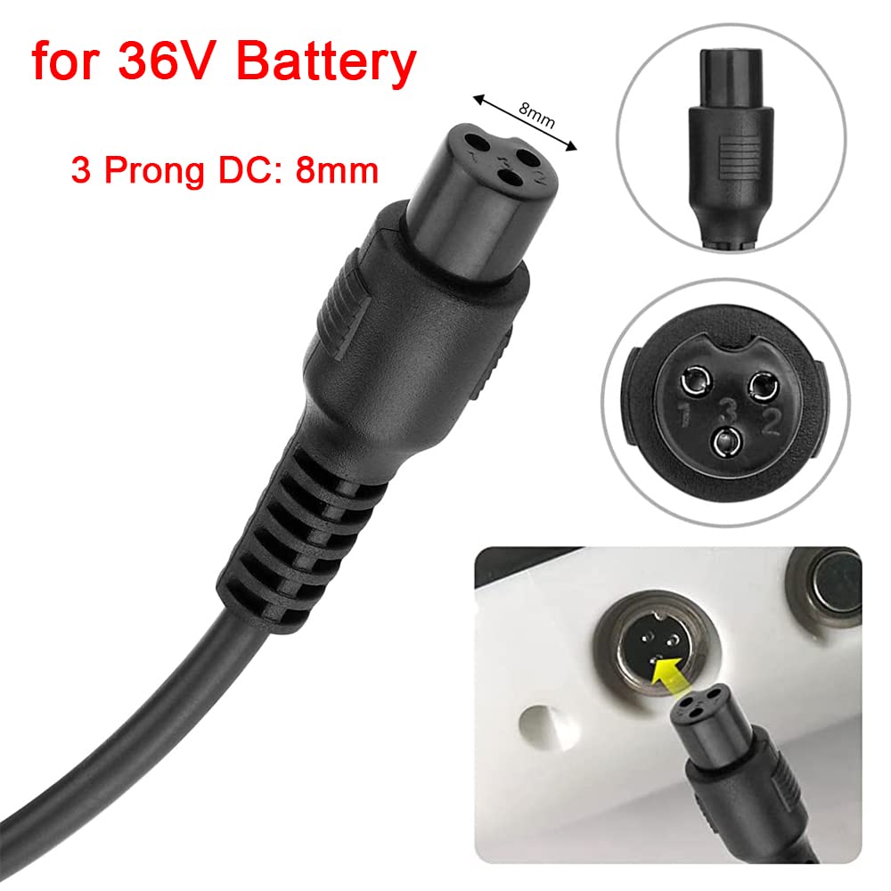 42V 2A Charger for 36V Lithium Battery, 5.5mm x 2.5mm and 8mm 3 Prong Connector D8752
