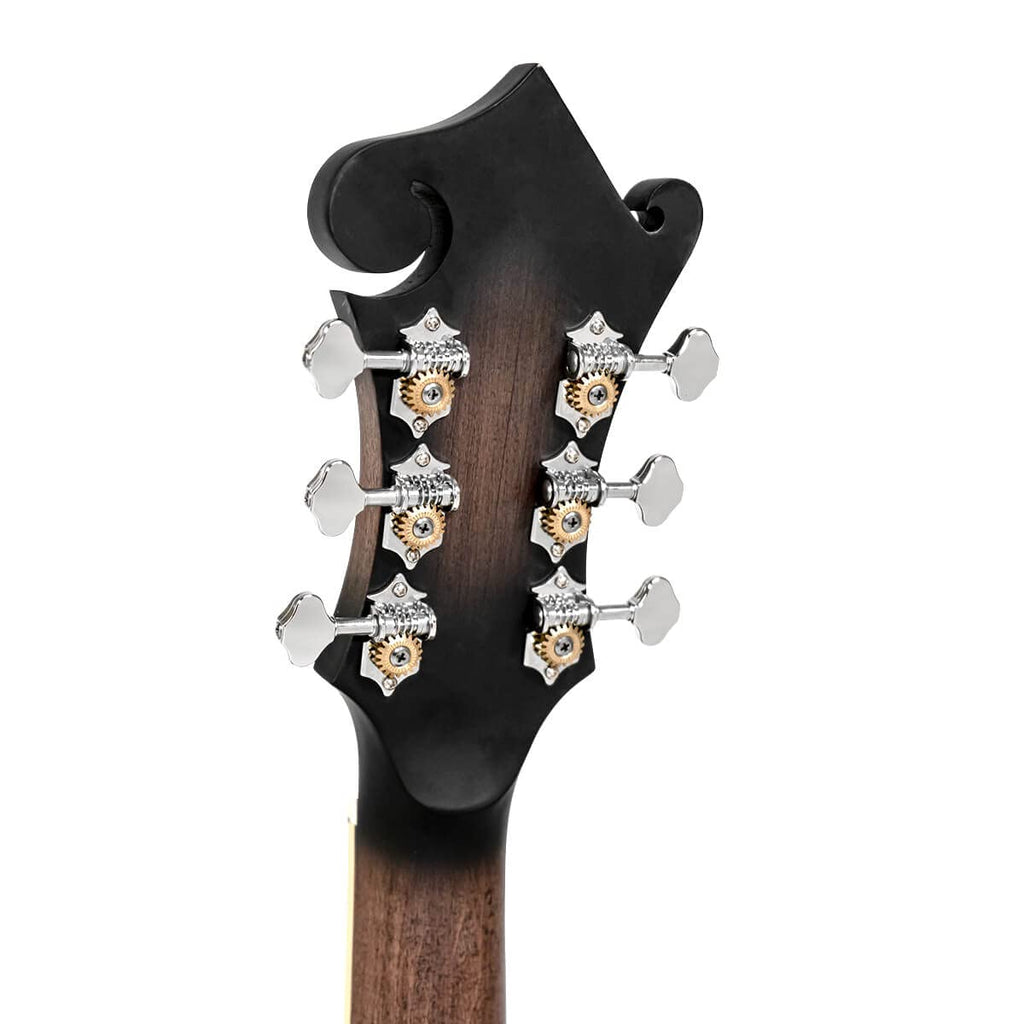 Cutaway Manditar Y1331