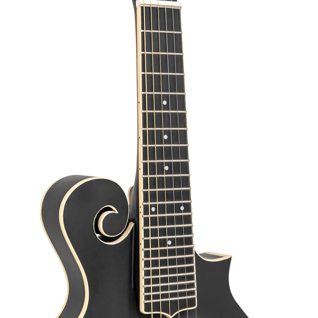Cutaway Manditar Y1331