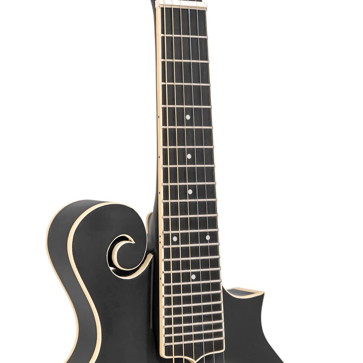 Cutaway Manditar Y1331