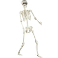 5.4 ft Posable Life Size Skeleton with Movable Joints P746729