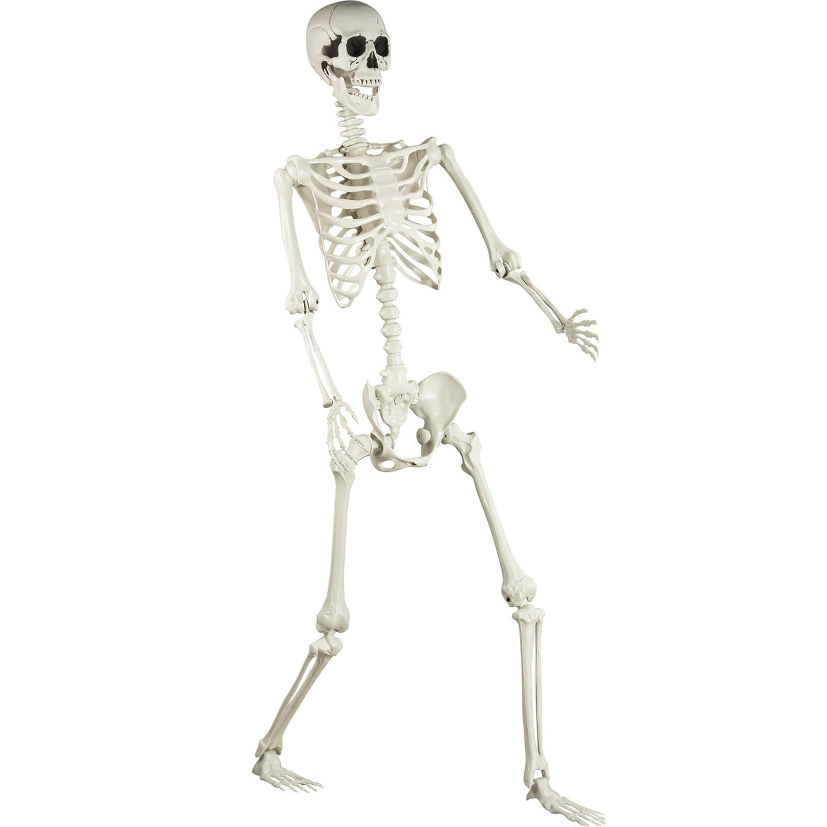 5.4 ft Posable Life Size Skeleton with Movable Joints P746729