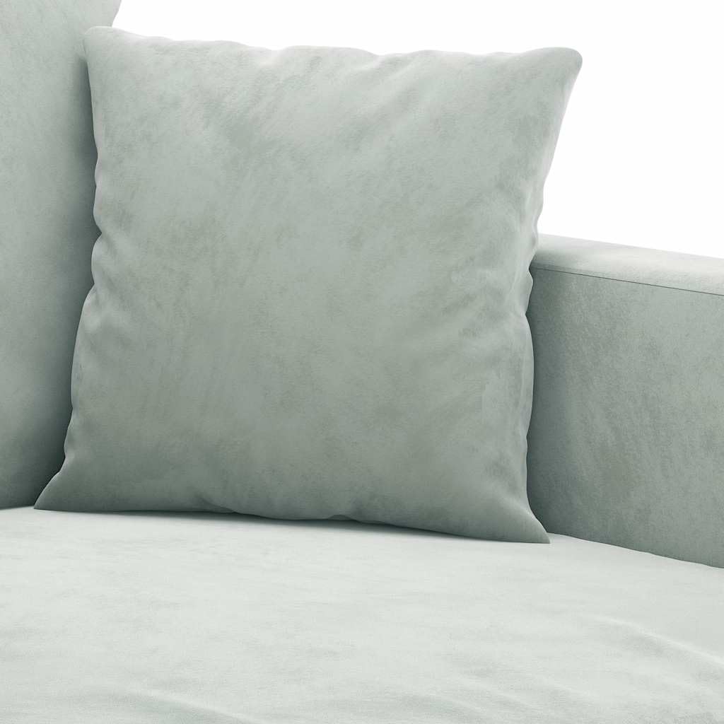 Light Gray Velvet 2-Seater Sofa G582