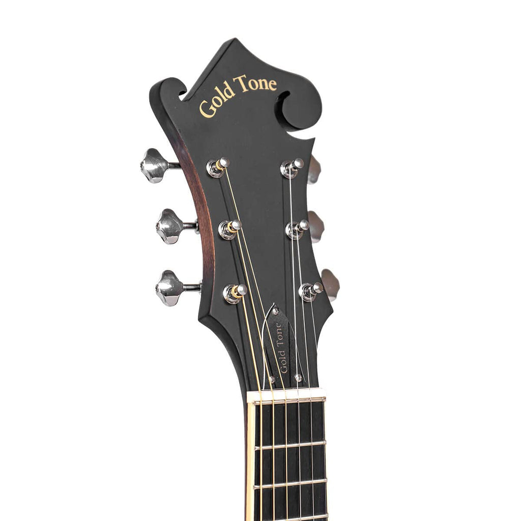 Cutaway Manditar Y1331