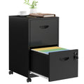 2 Drawer Black Metal File Cabinet with Lock C258