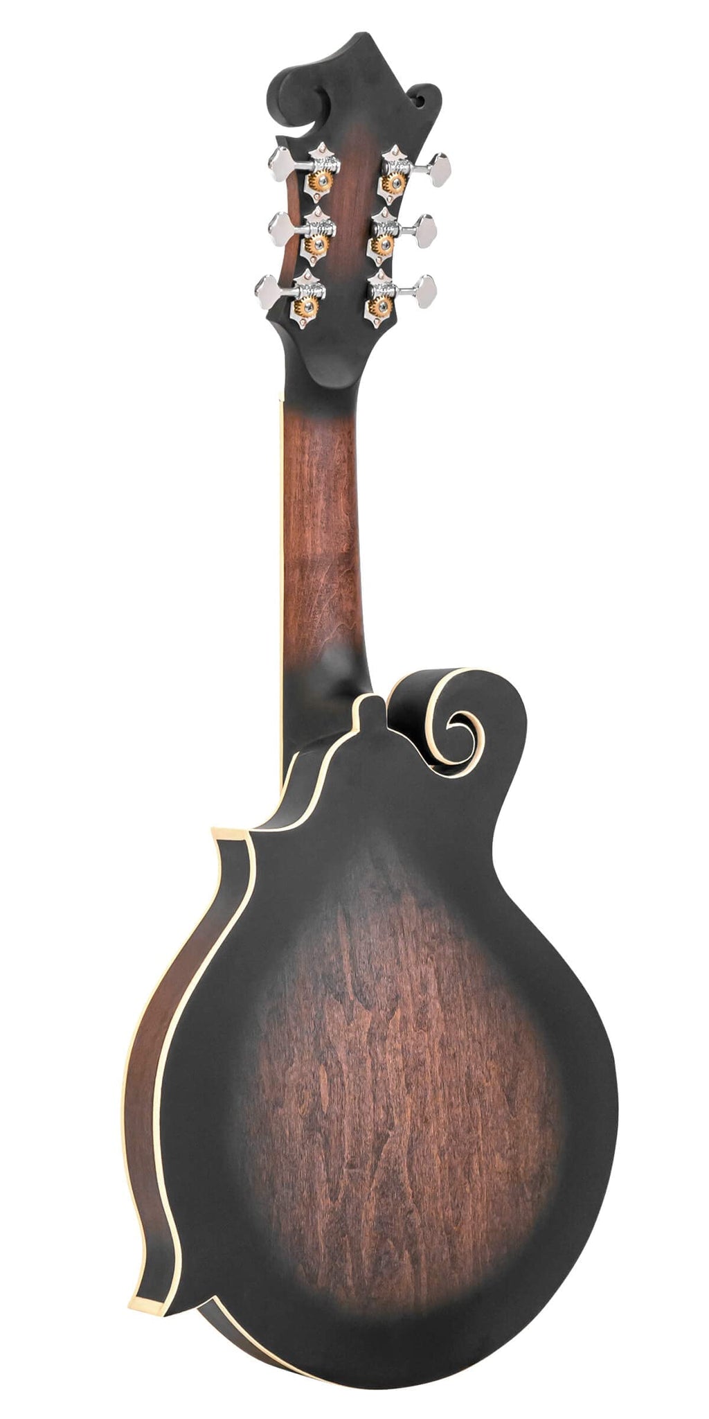 Cutaway Manditar Y1331
