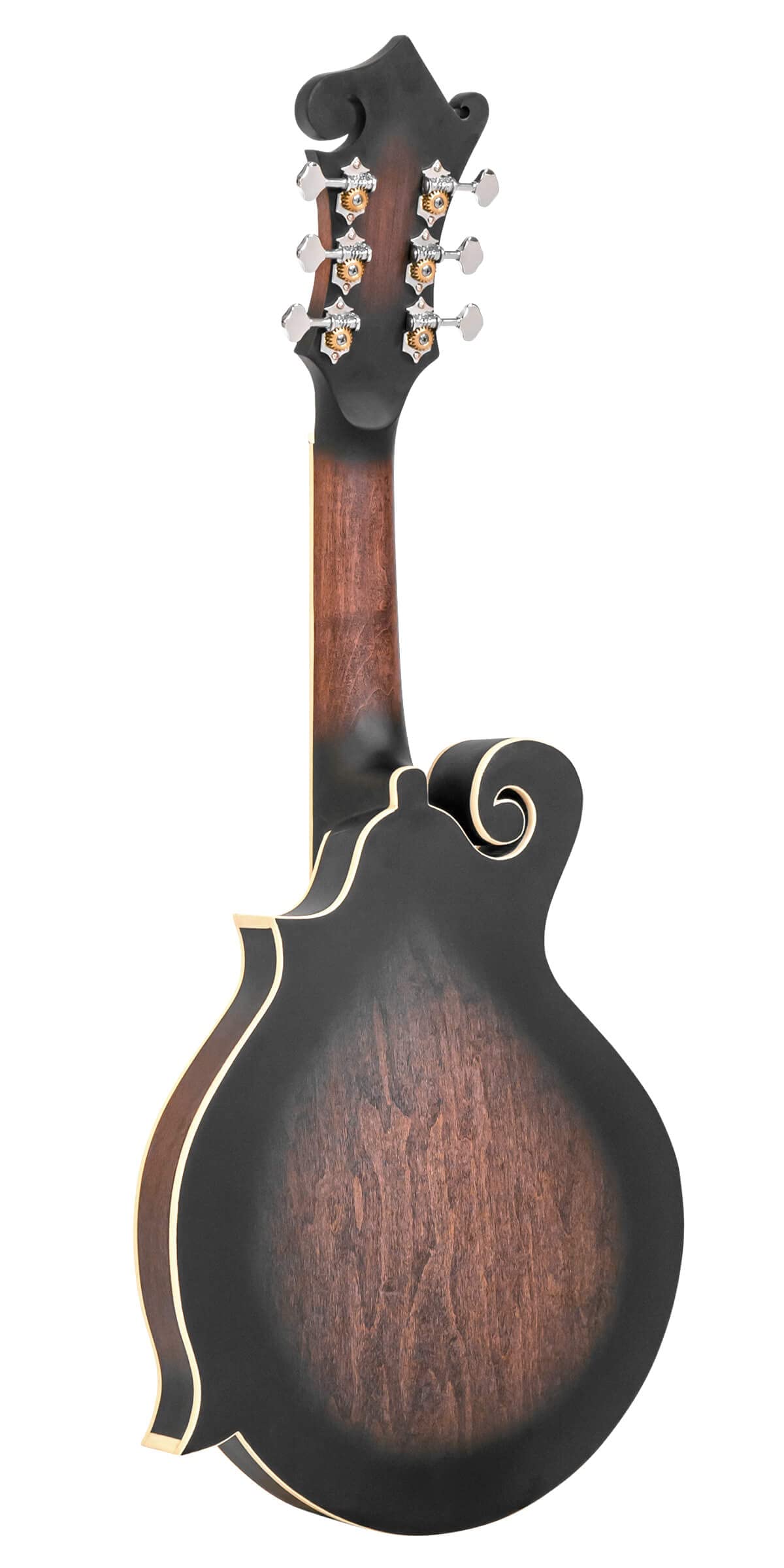 Cutaway Manditar Y1331