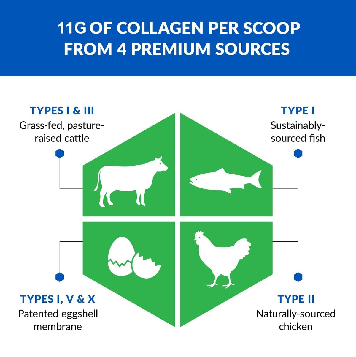 Unflavored Hydrolyzed Collagen Peptides Powder 3 Pack L8104