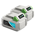 20V 4.0Ah Rechargeable Lithium Battery Z255