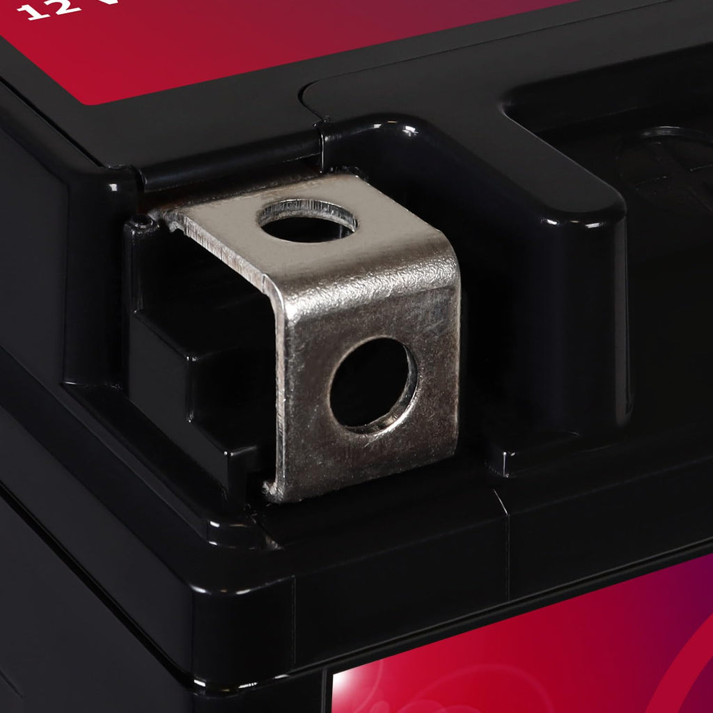 12V 11.2Ah Battery Q689