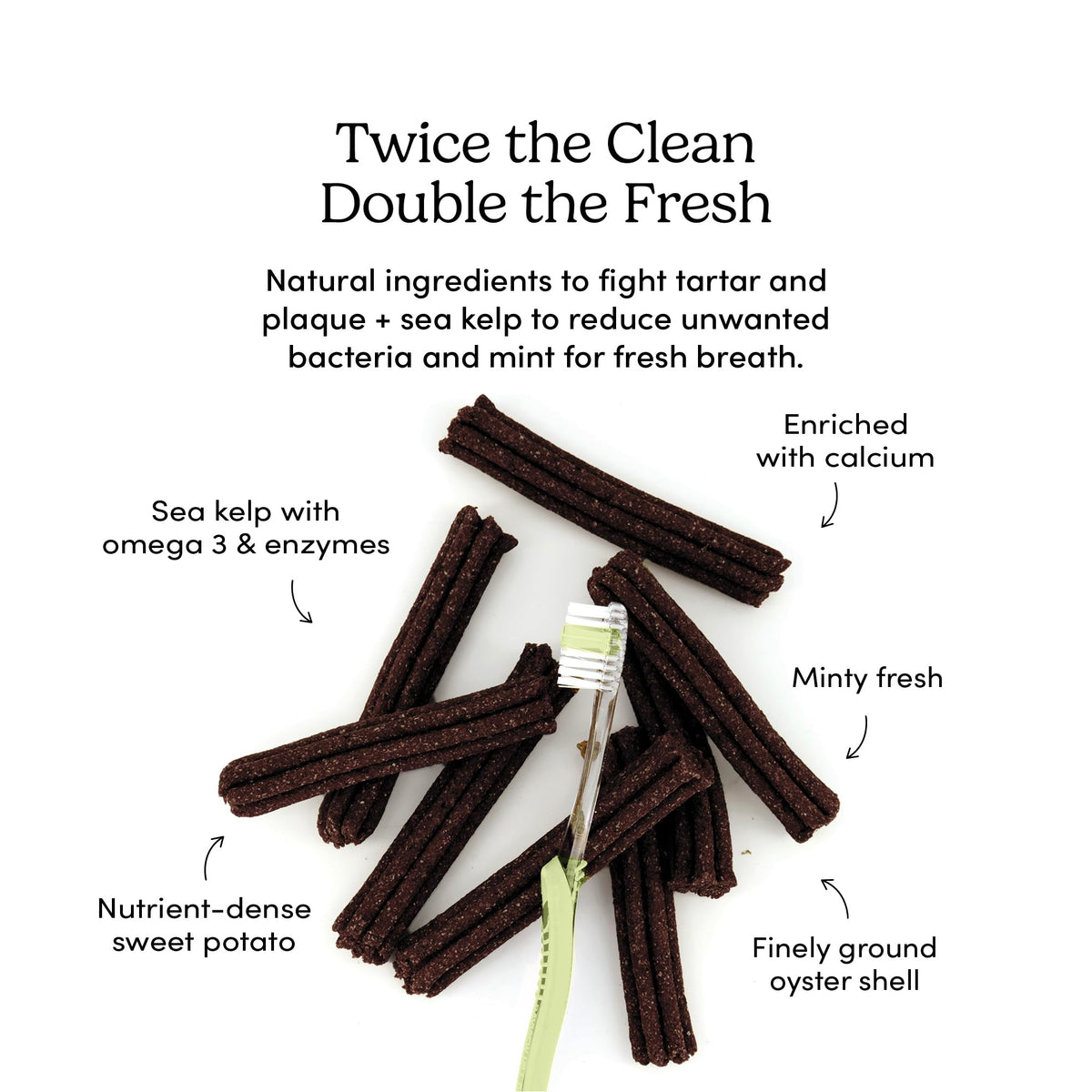 Double Fresh Dental Sticks 9.5oz O312400