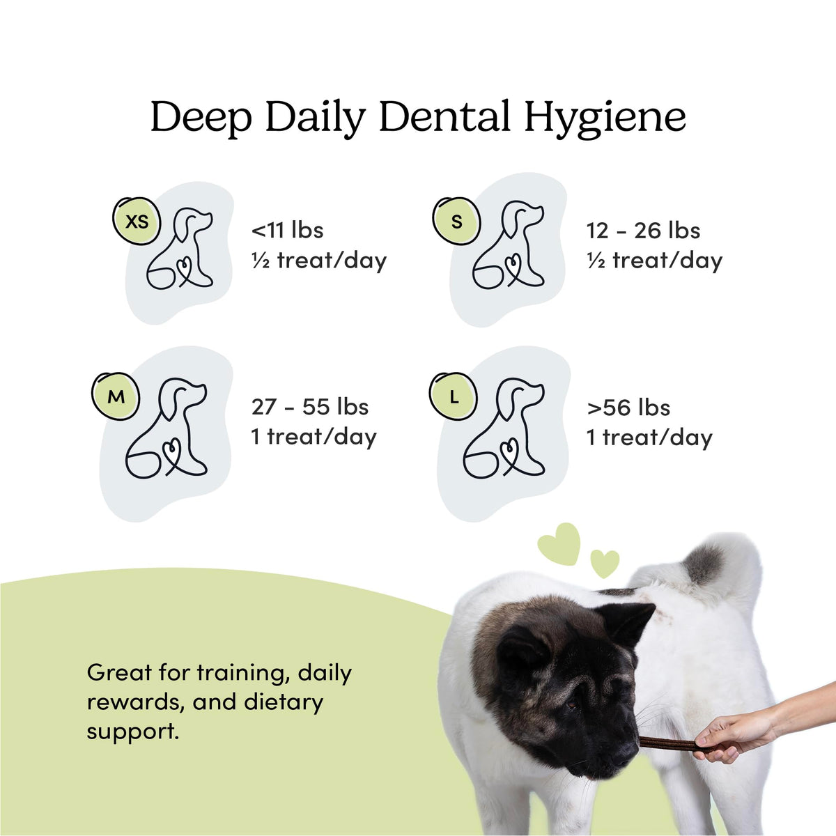 Double Fresh Dental Sticks 9.5oz O312400