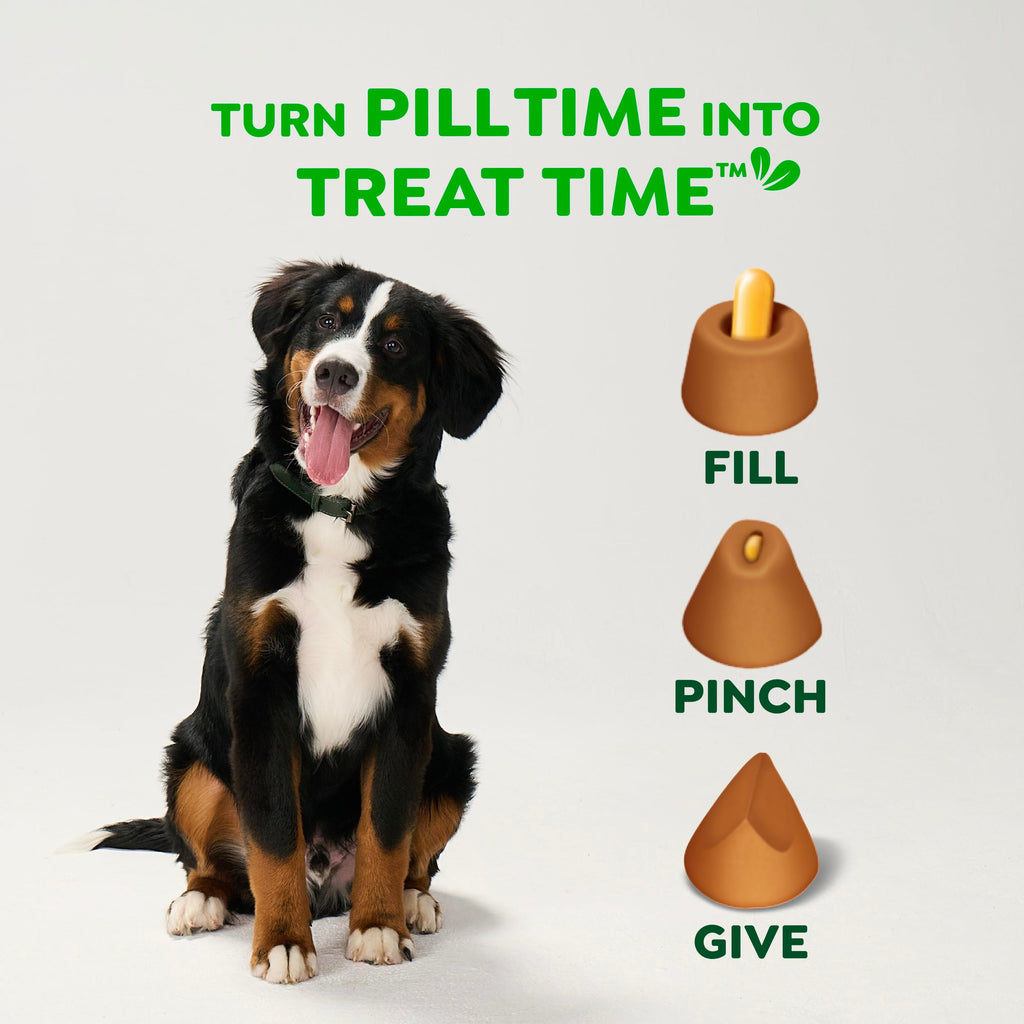 Peanut Butter Large Size Dog Treats 15.8 oz T136