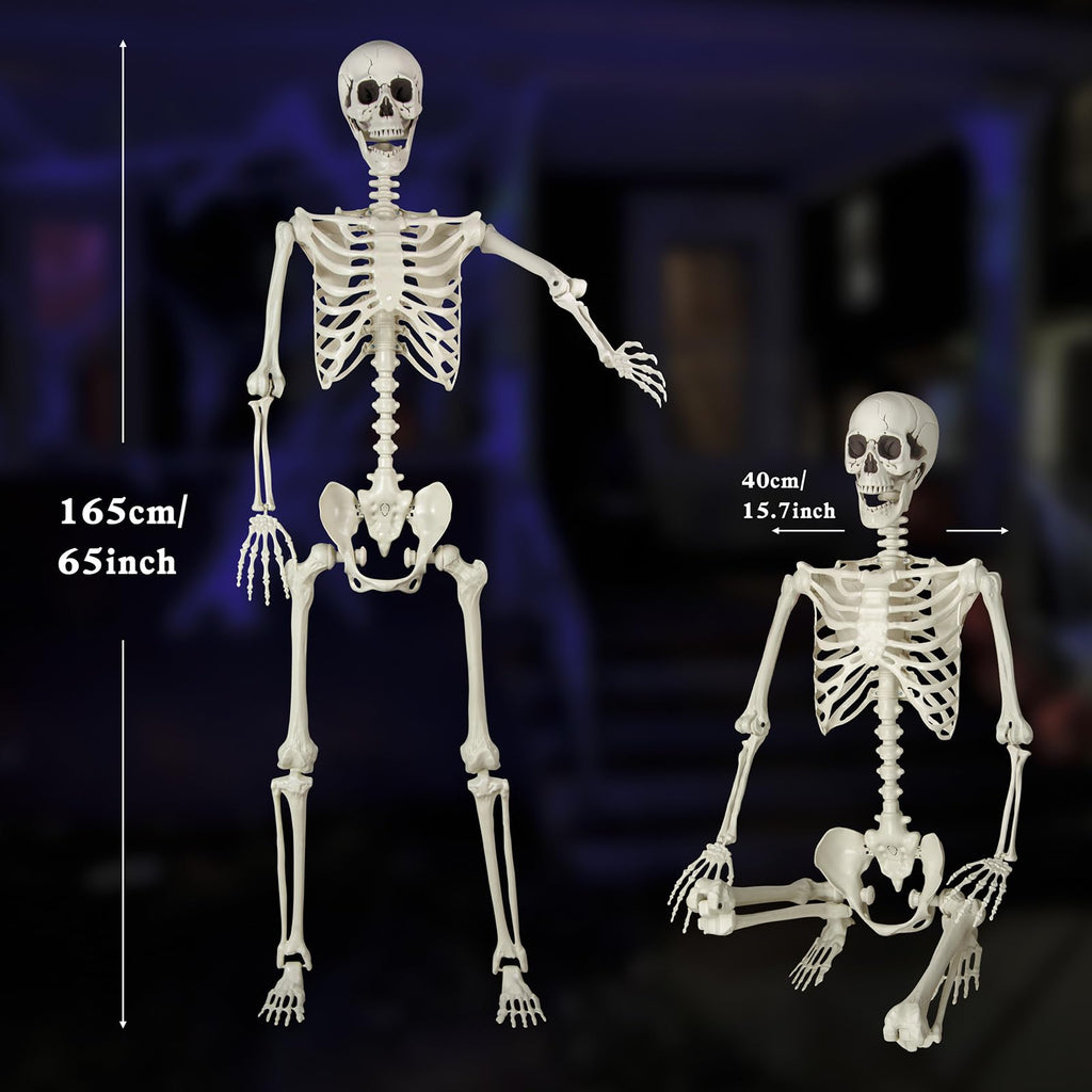5.4 ft Posable Life Size Skeleton with Movable Joints P746729