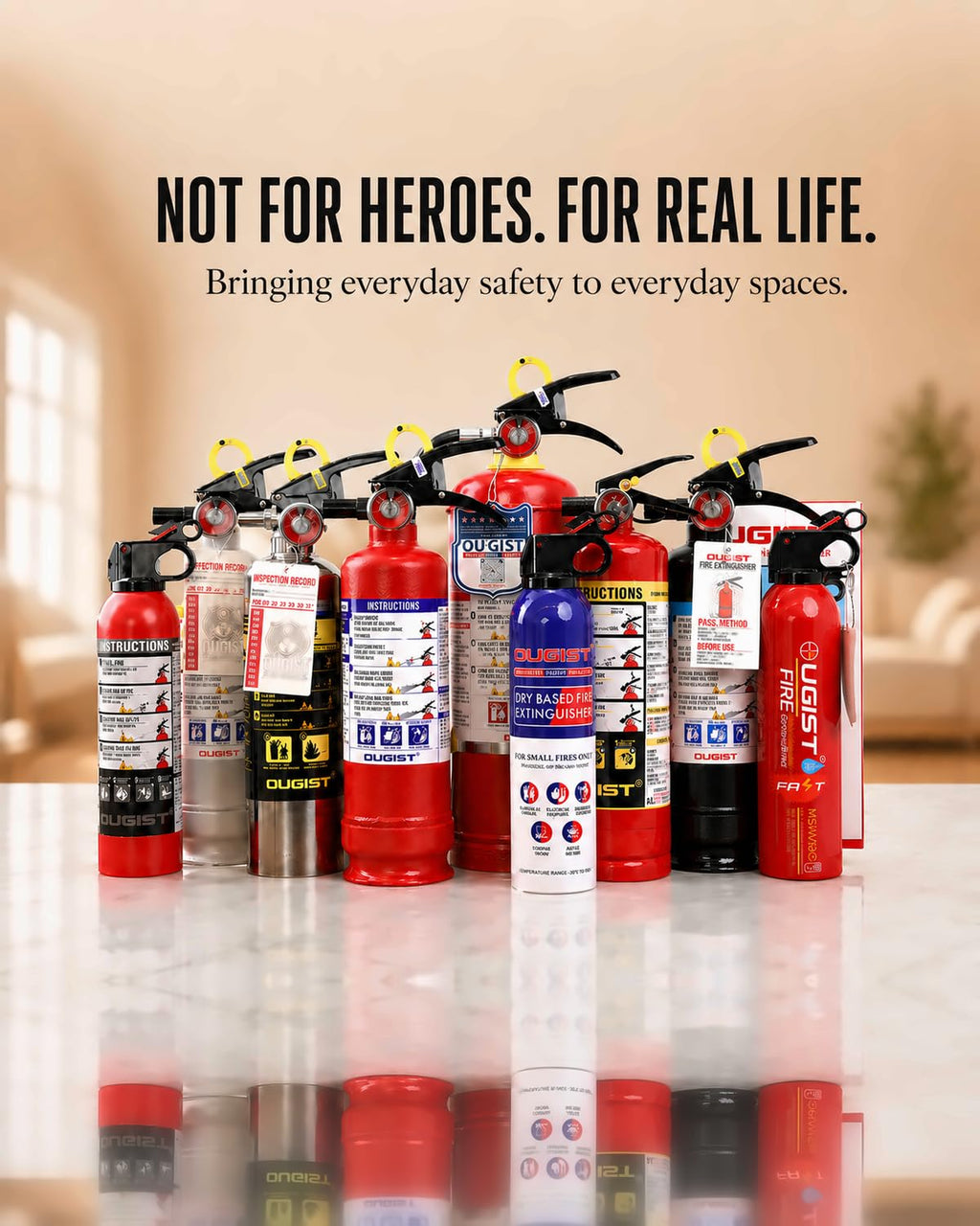 Car Fire Extinguisher 2.5lb Dry Chemical 1 Pack N3717