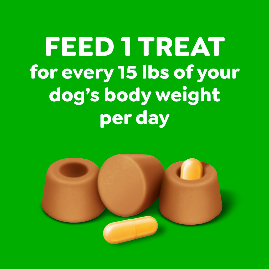 Peanut Butter Large Size Dog Treats 15.8 oz T136