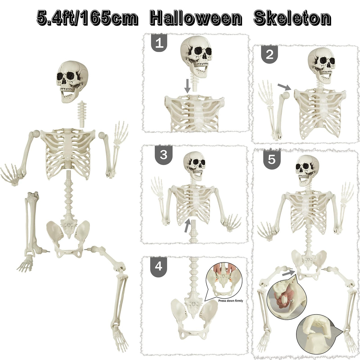 5.4 ft Posable Life Size Skeleton with Movable Joints P746729