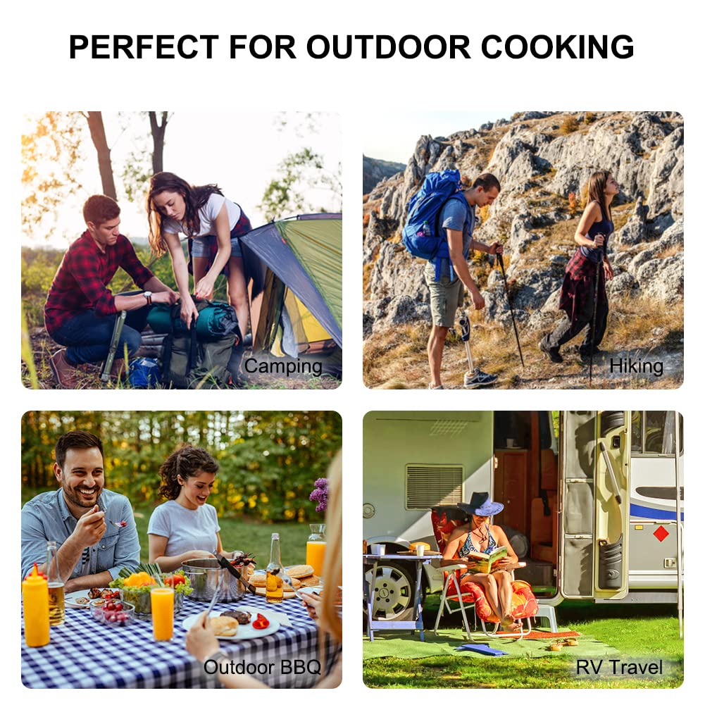 Portable Dual Fuel Propane & Butane Camping Stove with Carrying Case Z7006