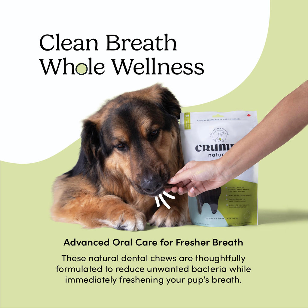 Double Fresh Dental Sticks 9.5oz O312400
