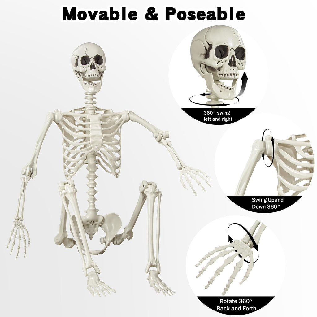 5.4 ft Posable Life Size Skeleton with Movable Joints P746729