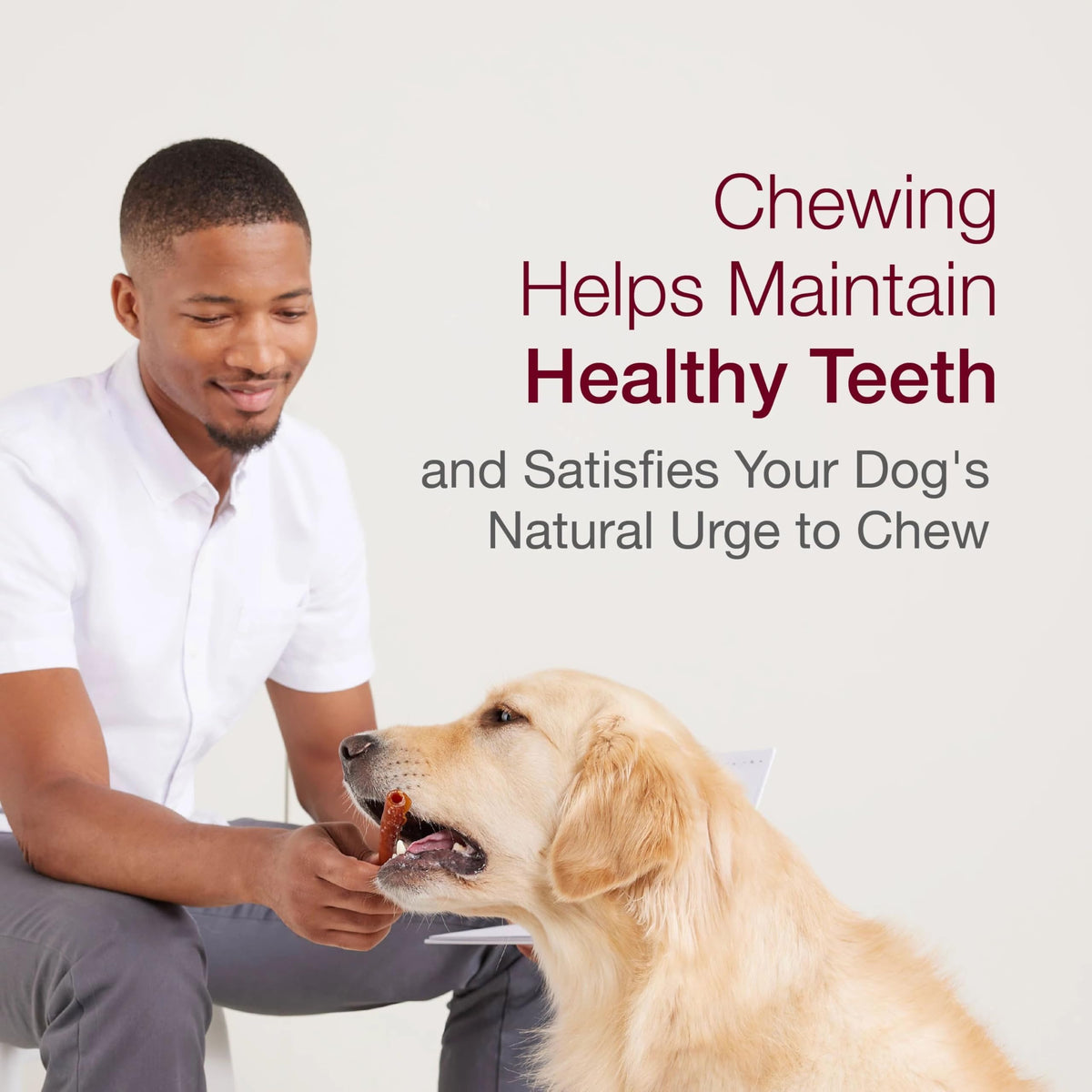 Peanut Butter Pork Flavor Rawhide-Free Dog Chews 6 Twistz C7760