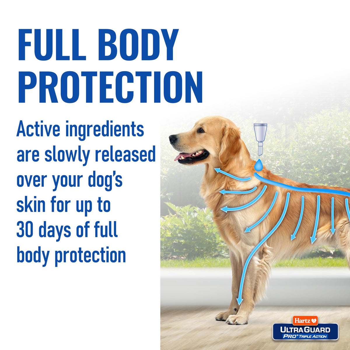 Flea & Tick Topical Dogs & Puppies Treatment, 6 Months, 61-150 lbs J9720