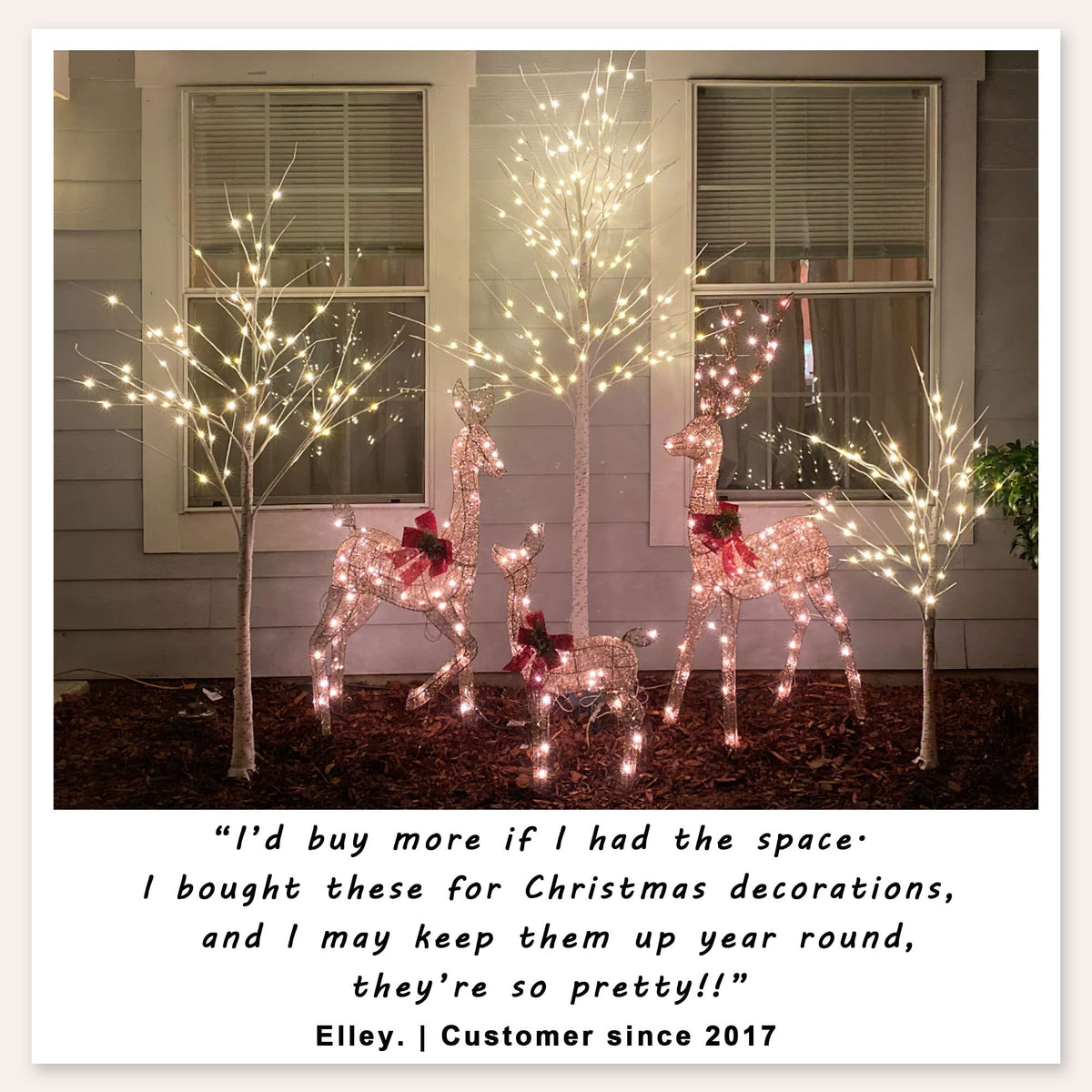 2 Pack 8FT 132 LED Lighted Artificial Birch Tree Warm White H564527