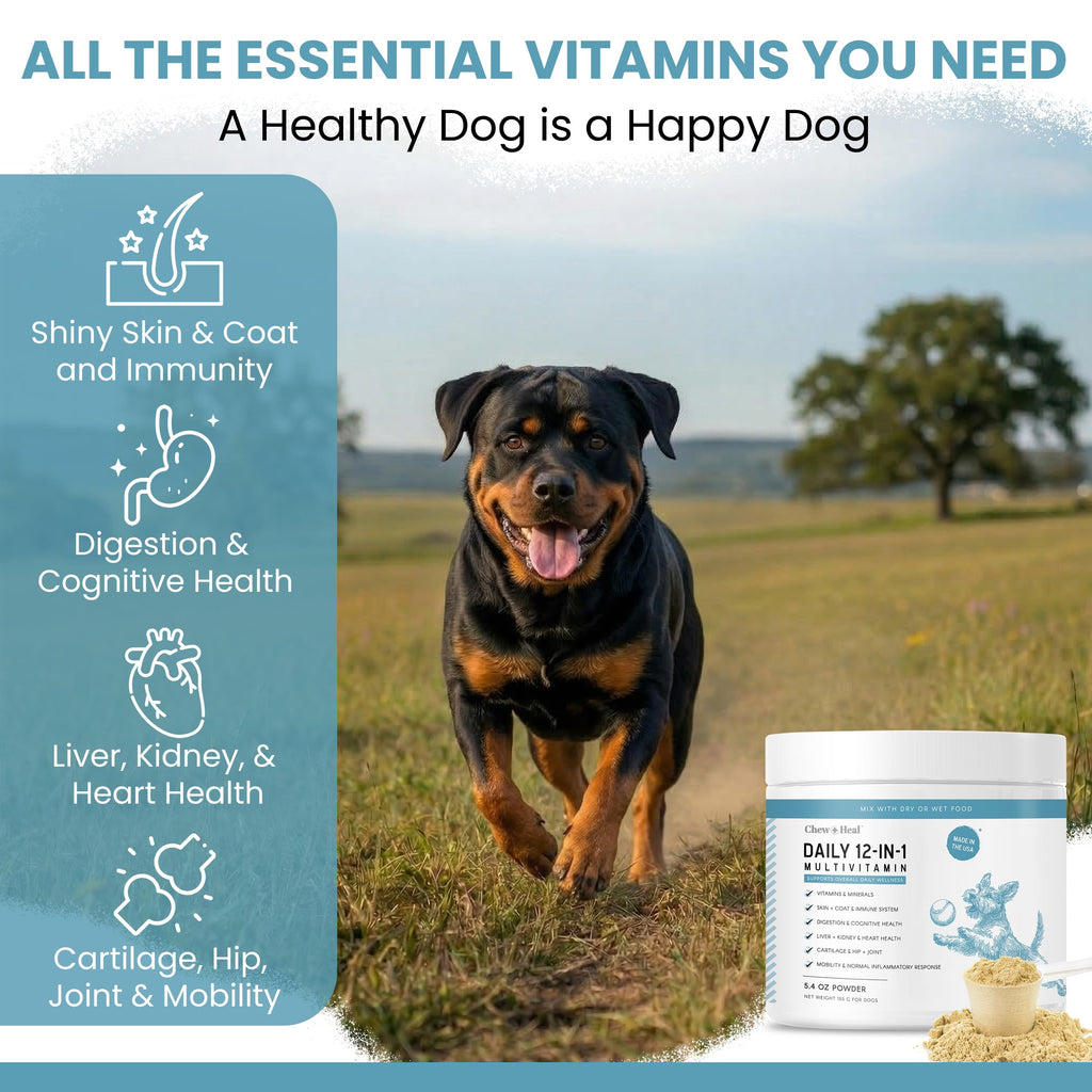Dog Multivitamin Powder 12-in-1 with Probiotics 5.4 oz C613662