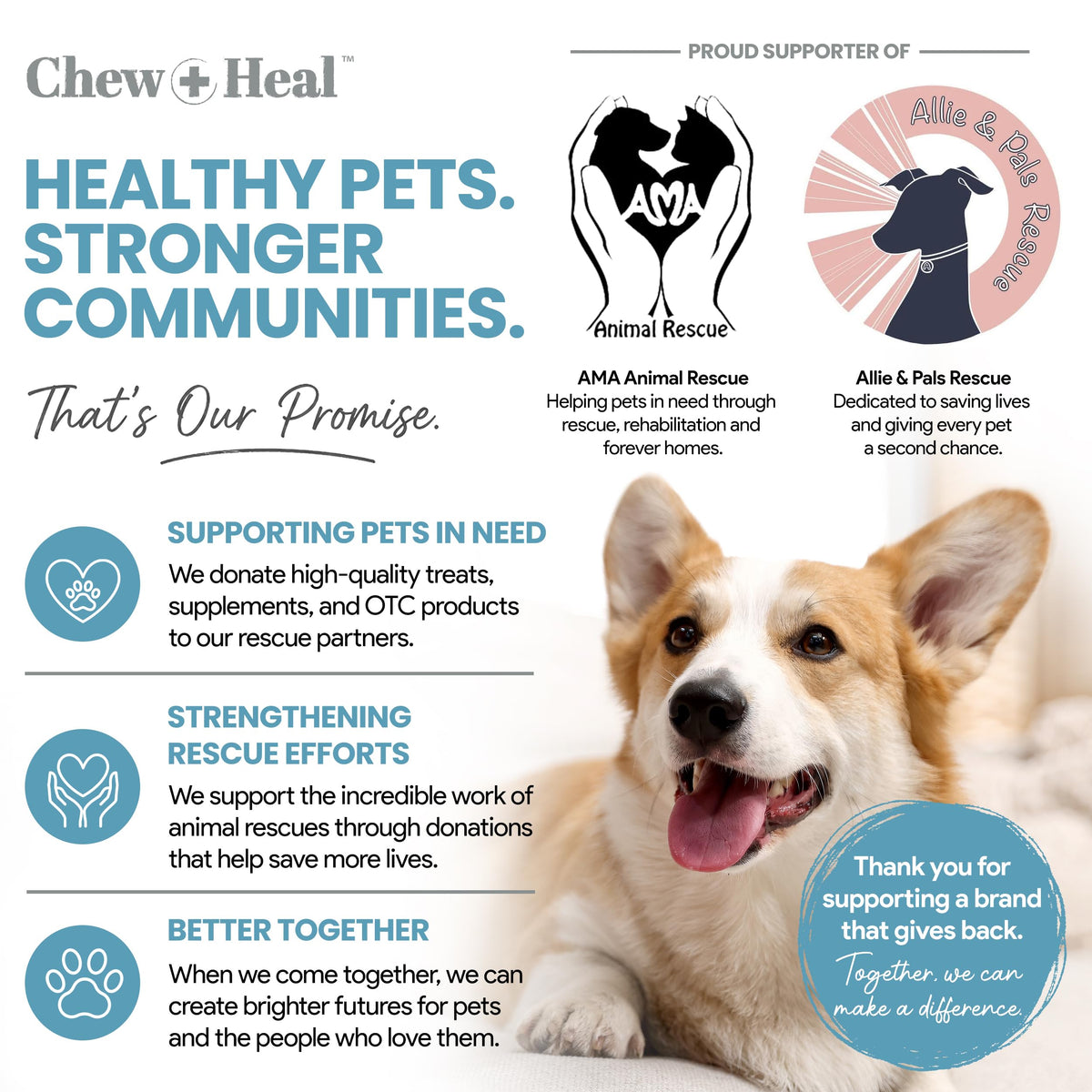 Dog Multivitamin Powder 12-in-1 with Probiotics 5.4 oz C613662