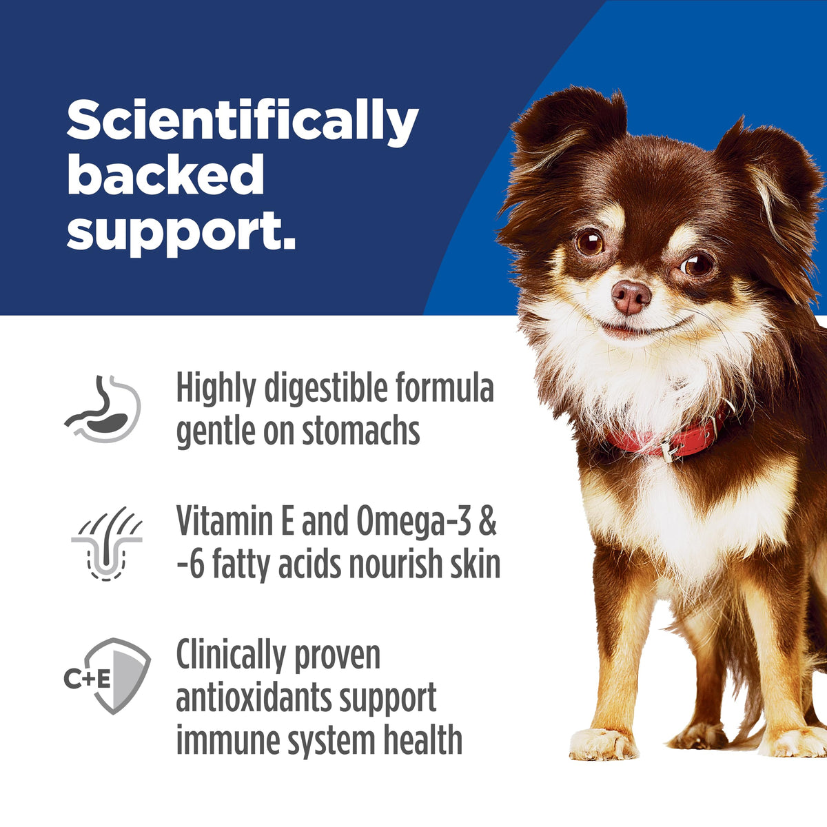 Sensitive Stomach & Skin Small & Mini Dry Dog Food T359418