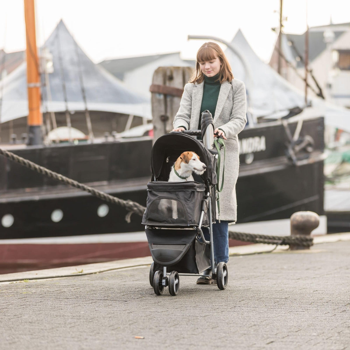 Foldable Pet Stroller with Weather Cover, Storage Basket, Cup Holder, Black V161