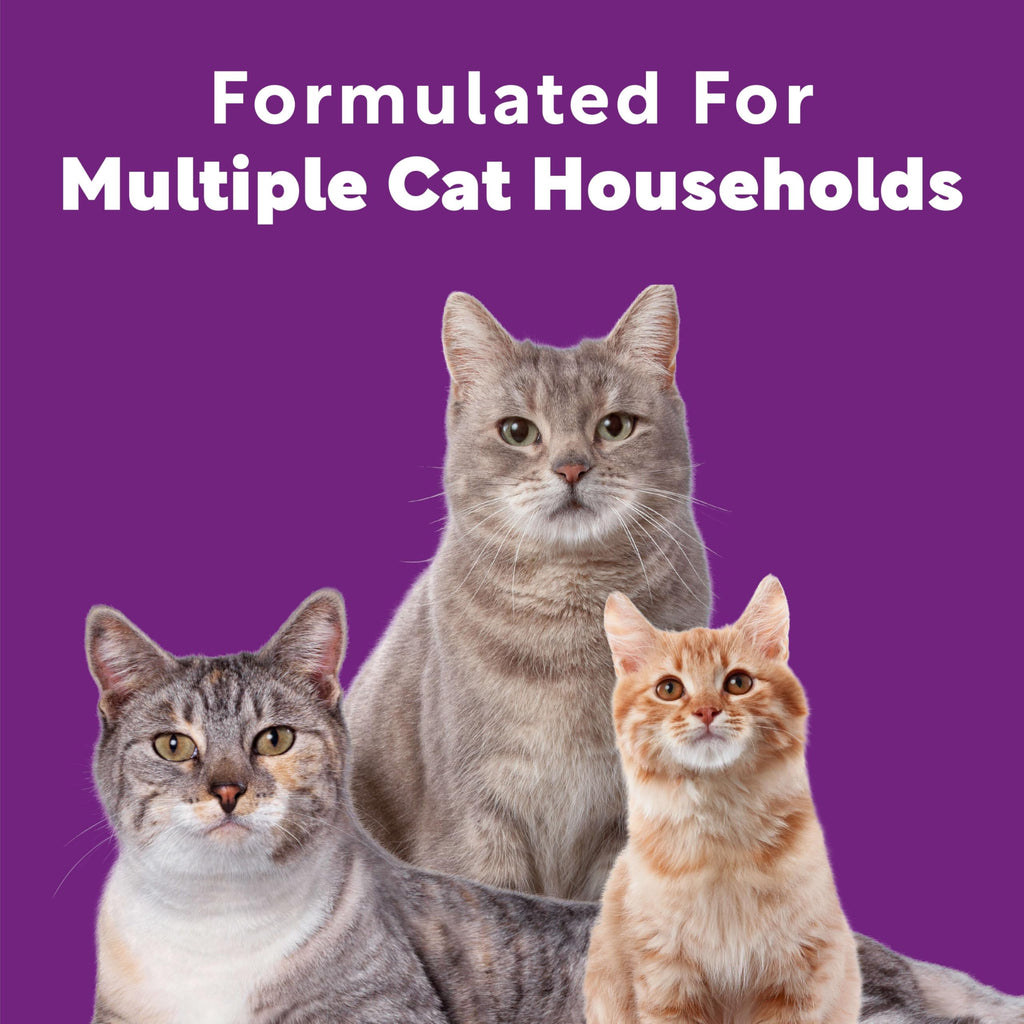 Multi Cat Clumping Cat Litter 18.5lb 2Pk T612714