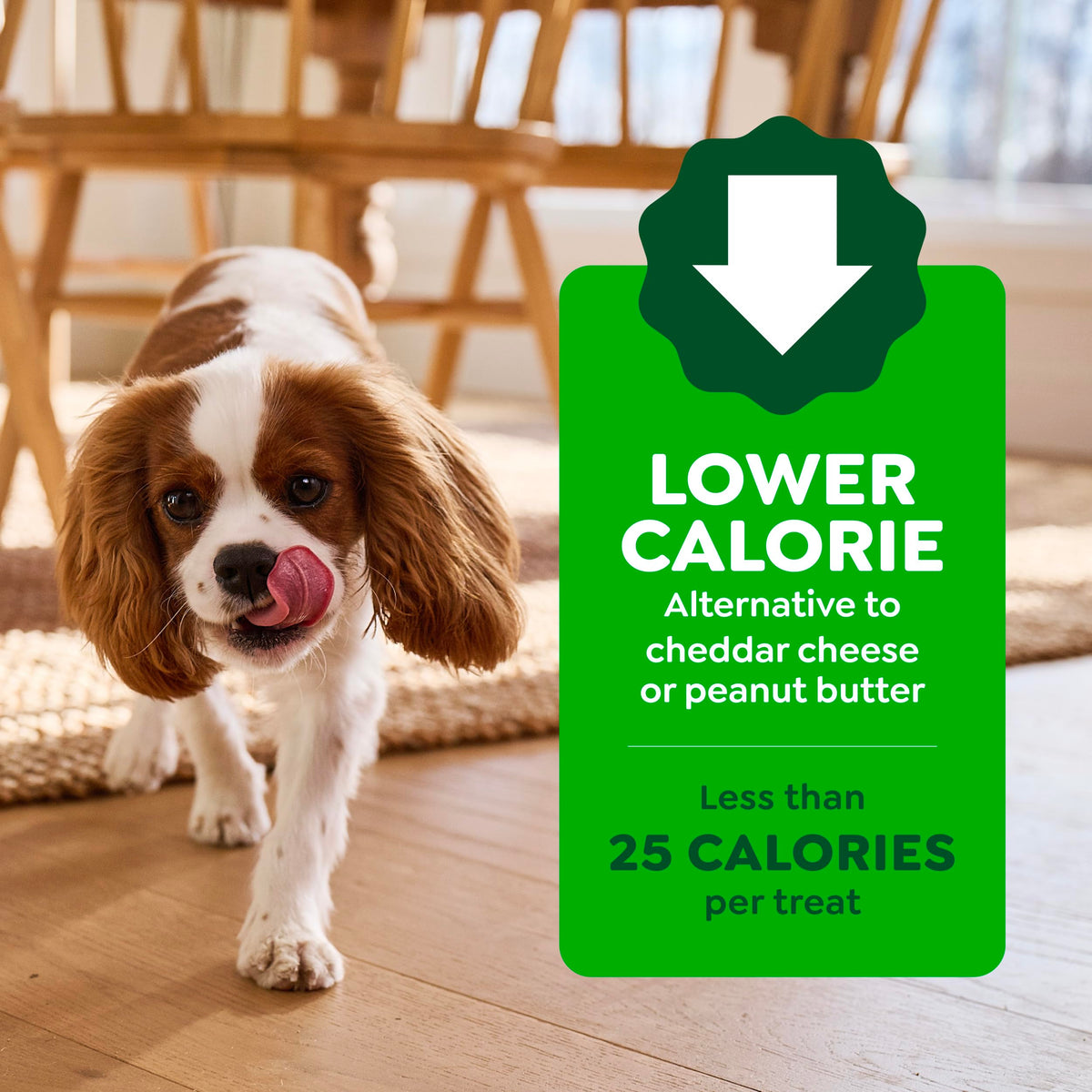 Peanut Butter Large Size Dog Treats 15.8 oz T136