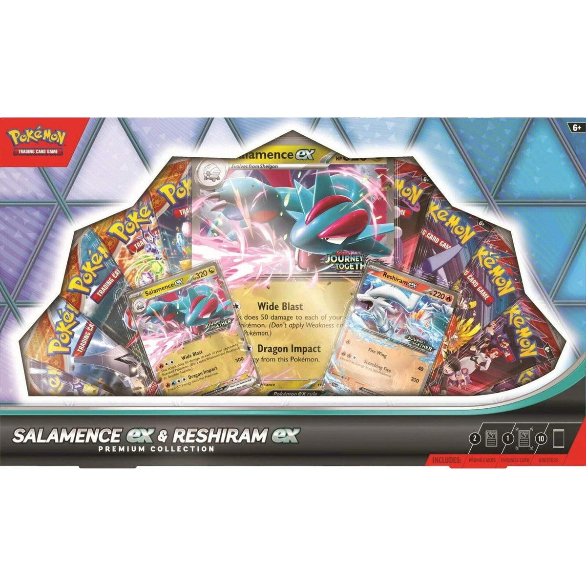 Pokemon TCG Premium Collection Box X88418