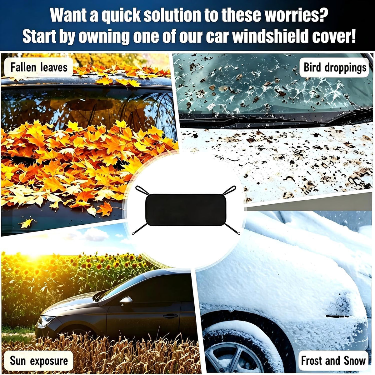 Windshield Cover B466