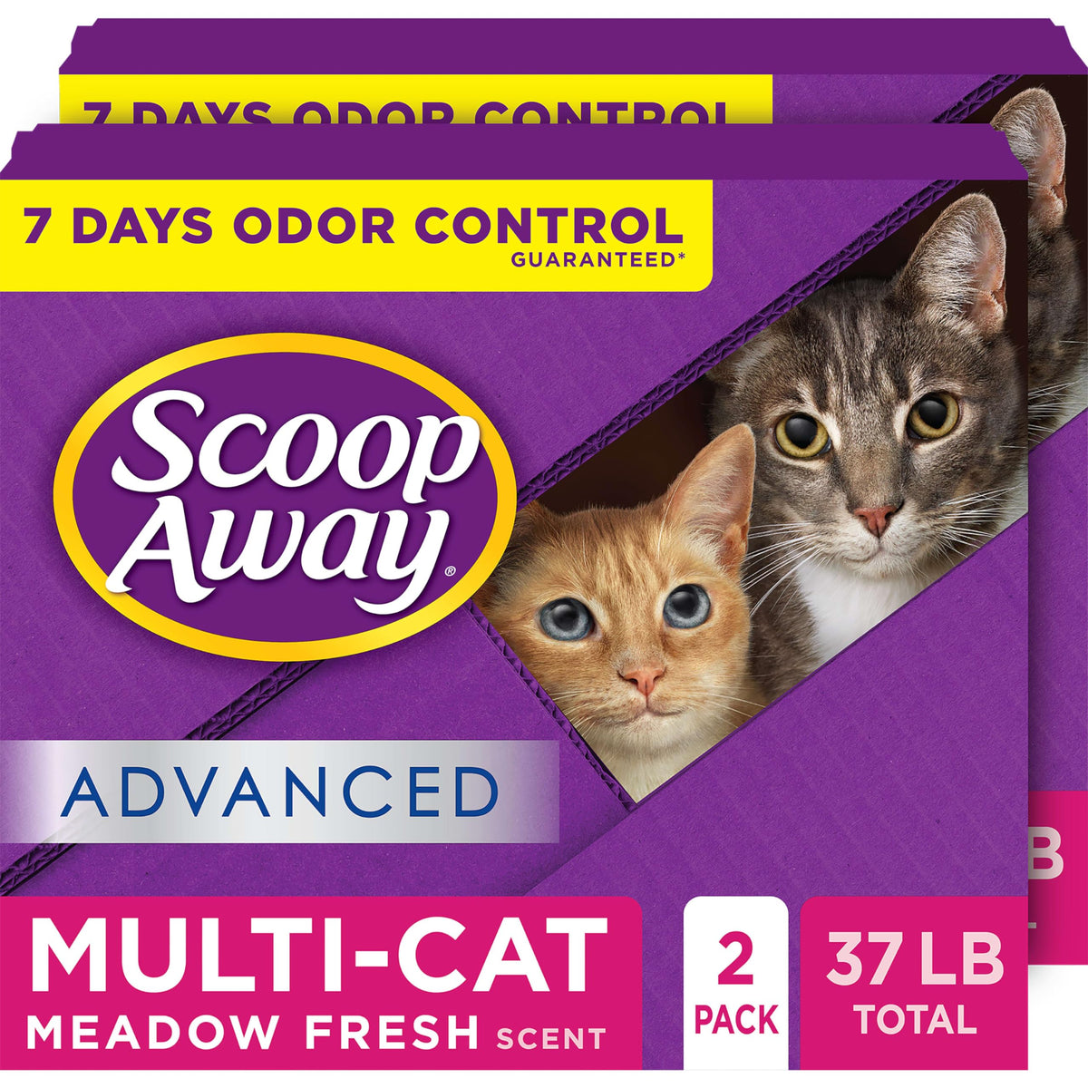 Multi Cat Clumping Cat Litter 18.5lb 2Pk T612714